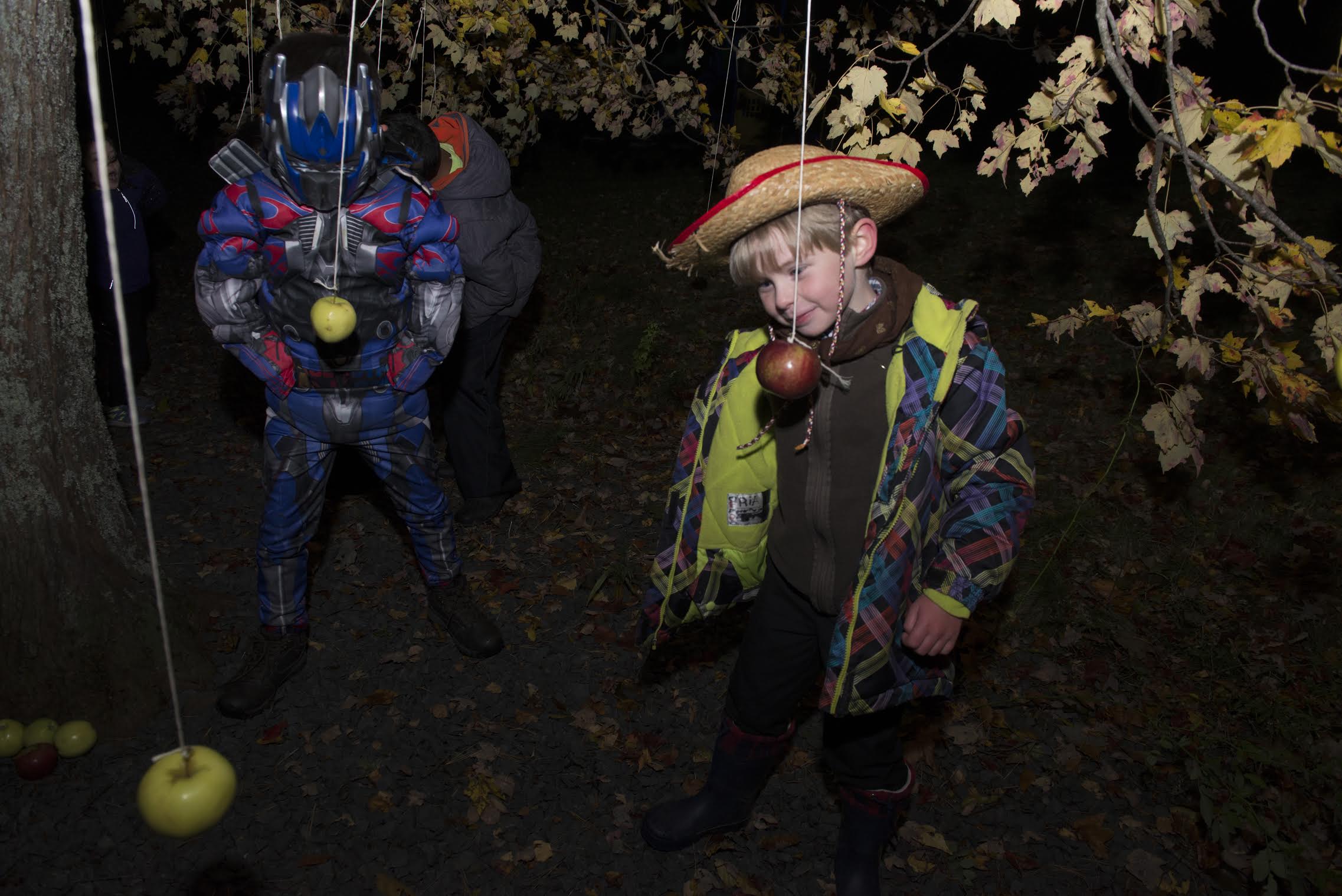 26th Halifax Beaver Scout bobbing for apples